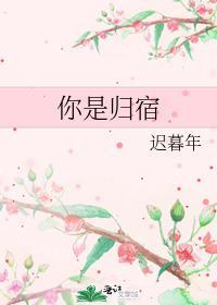 是你的归宿 歌词