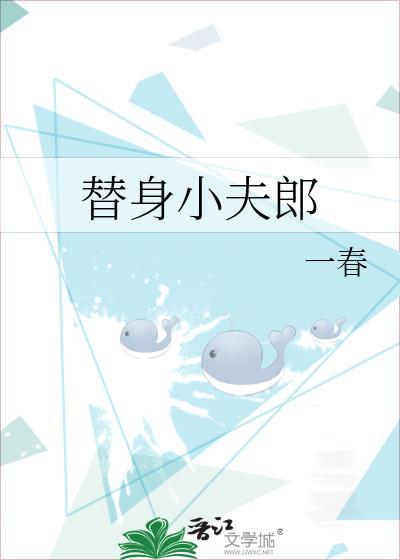 替身小夫郎晋江