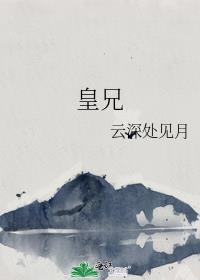 喜欢搭档很多年了一只大雁在线阅读