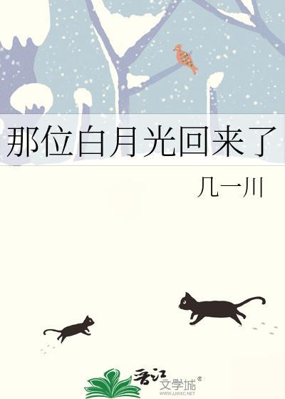 那个白月光是什么