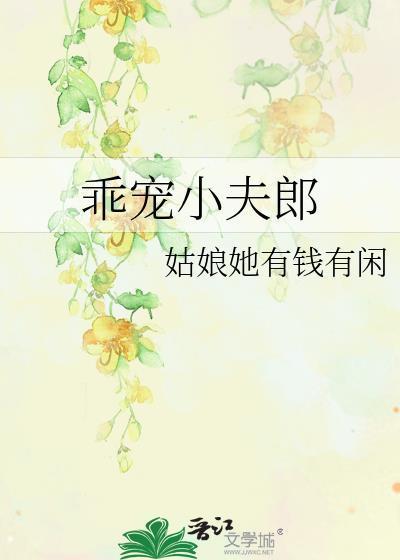乖宠小夫郎百度
