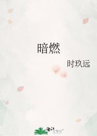暗燃时玖远完结番外