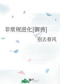 非常规化是什么意思