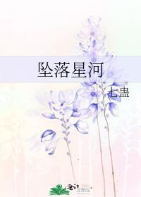 我曾坠落星河