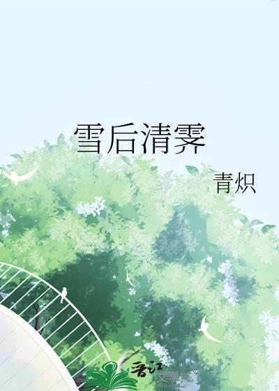 雪后清霁免费阅读无弹窗