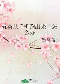 手机五条白线是什么意思