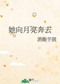 月亮奔向你