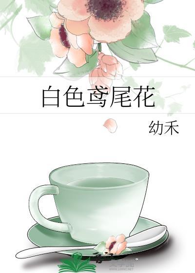 白色鸢尾花的寓意和象征意义