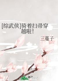 骑着扫帚的动漫人物