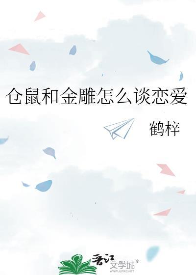 仓鼠和金丝熊打架视频
