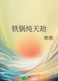 铁锅炖都放什么调料