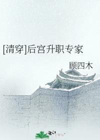 清穿后宫升职专家百度