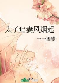 太子追妻风烟起乐文
