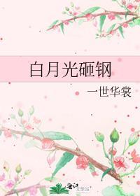 白月光砸钢 一世华裳