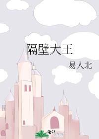 隔壁大王TXT百度