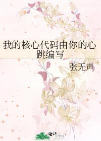 核心代码是哪部分