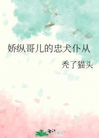 娇纵哥儿的忠犬仆从番外