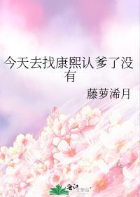 今天找康熙认爹了吗