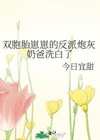 帝师攻略 百度