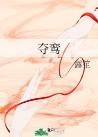 夺鸾by西朝云策