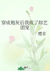 穿成炮灰后我成了综艺团宠txt