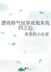 漂亮娇气包穿成炮灰攻四之后番外免费