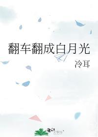 翻车翻成白月光txt