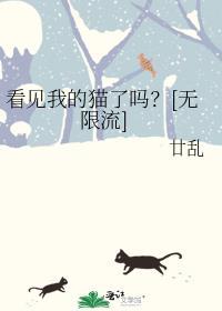 看见我的猫了吗无限流笔趣阁