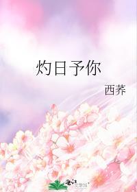灼日予你番外