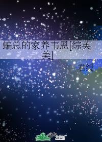 综英美 韦恩家的小蝙蝠崽