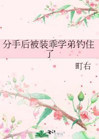 分手后被装乖学弟钓住了作者町右