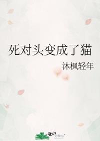 死对头变成了猫po