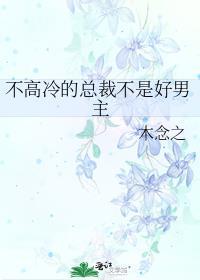 不高冷的总裁不是好男主晋江