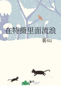 在特摄里面流浪的人