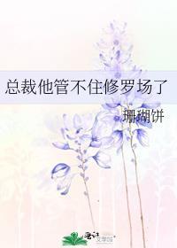 总裁他管不住修罗场了番外