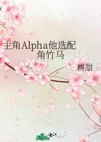 麦子导演百度百科
