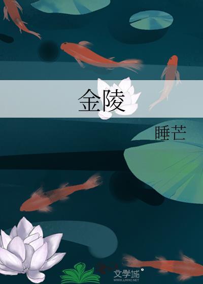 金陵星图发布更新电话