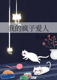我的疯子爱人讲的什么