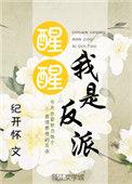 醒醒我是反派免费阅读全文