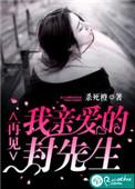 再见我亲爱的封先生免费阅读