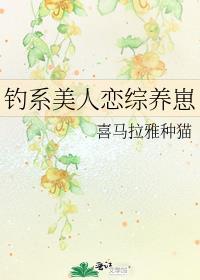 钓系美人恋综养崽 喜马拉雅种猫