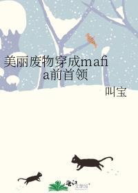 美丽废物穿成mafia前首领作者叫宝