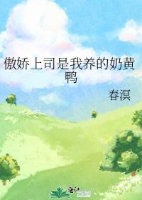 傲娇上司太撩人万茜