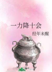 一力压十技什么意思