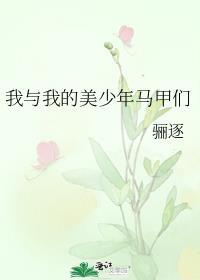 我与我的美少年马甲们番外