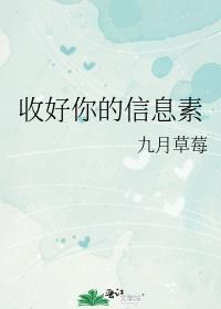 收好你的信息素TXT百度