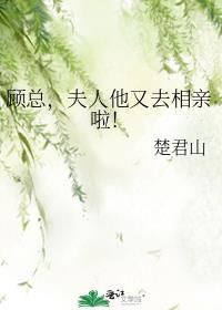 顾总夫人她死不悔改