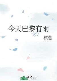 今天巴黎有雨讲的什么