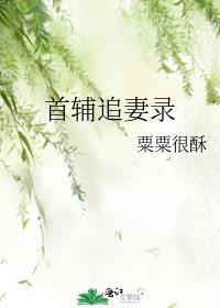 首辅追妻日常盛长乐