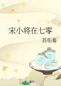 宋小将七零免费阅读